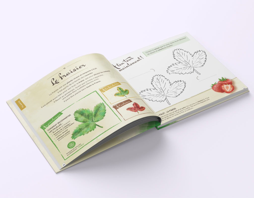 Je colorie mon herbier selon les saisons – Amandine BATAILLE